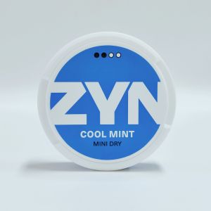 European version European Mini ZYN cans nic pouches ODM