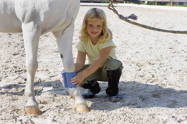 Oem Non Woven Cohesive Bandage Disposable Type