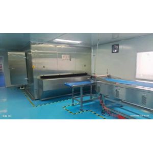 Conveyor Impingement Freezing Tunnel Iqf Freezer 250kg/H 300kg/H