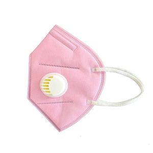 Disposable PM 2.5 N95 Face Mask With Filter Valve Anti Pollution / Anti Dust