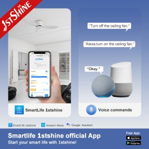 Flush Mount Design 2-in-1 Ceiling Fan Optional LED Light for 220V Voltage and