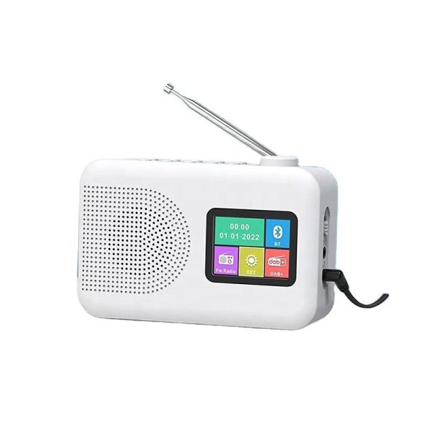 Quality Private Mold Portable DAB/DAB FM Radio with Speaker and TFT Display AC Power Operated wholesale