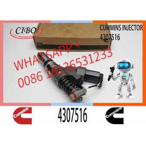 XF Parts QSM ISM QSM11 ISM11 M11 Engine Diesel Fuel Injector 4307516 3095040