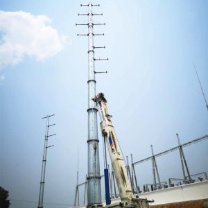 Cheap 110KV Polygonal Pole Single Circuit Dodecagonal Transmission Steel Poles for sale