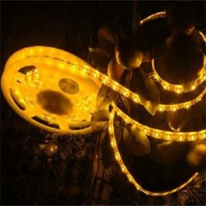 High Quality 5M 2835 SMD LED Strip Indoor Decoration 240 LED 24V 12W/M Light