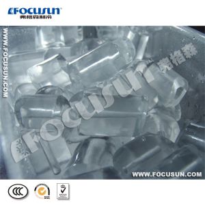 10 Tons Water-Cooled Tube Ice Making Machine with in Need of R404a/R22