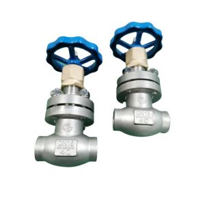 Cheap LNG LO2 LN2 DN15 PN40 Stainless Steel Globe Valve for sale