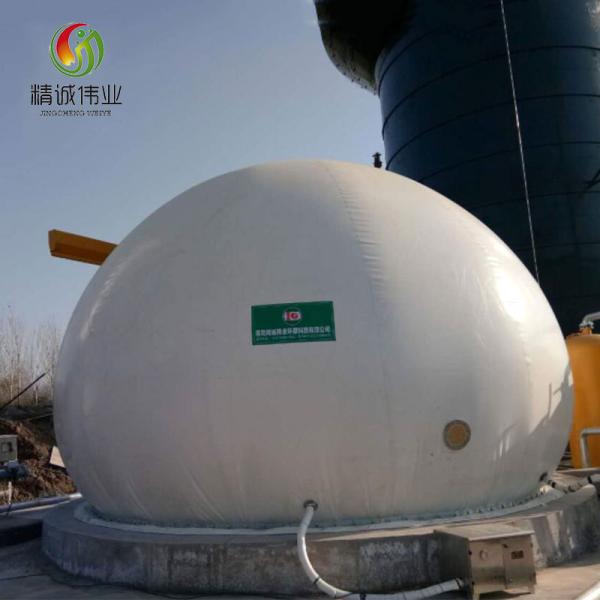 Anaerobiosis Bio Gas Holder PDFE Containerised Biogas Plant Flexible