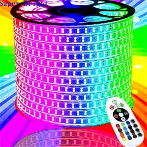 100m RGB Strip Light for Landscape Waterproof Warm White LED WiFi Remote Control
