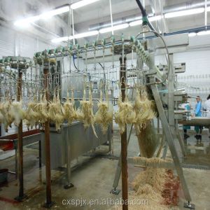 Chicken Plucking Machine Different Output Decided by Processing Demands