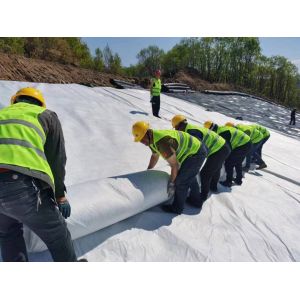 HDPE Geomembrane Liners for Landfill 1.0mm 1.5mm 2.0mm Thickness Industrial