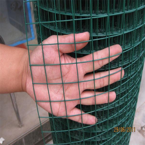 SS304 Stainless Steel Galvanized Outdoor Hardware Cloth Welded Wire Mesh Chicken