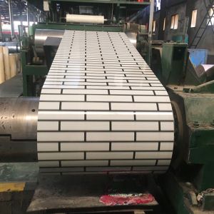 Customizable RAL Color Hot Dipped Color Coated Prepainted Galvanized Steel Coil