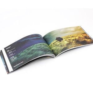 Cheap PSD C1S Instruction Booklets Manual Guide Glossy Matte Varnishing 500pcs for sale