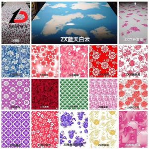 0.5t-25t Roll Weight Customized Ral Color Prepaintedcoated PPGL Color Coated