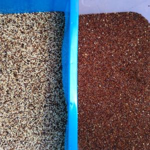 CCD Camera Vibrating Sieve Wheat Color Sorter Machine 2 Years Warranty