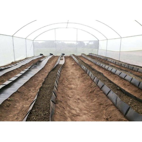 Soilless Growing System PP Growing Trough Colletcing Trough Black Growing Tomatoes Rose Cucumbers