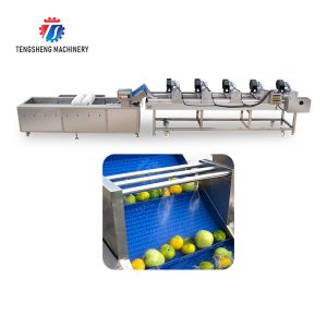 Cheap Customization Ozone Sterilization Fruit And Vegetable Processing Line Dry Detoxification for sale