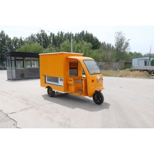 Foldable Handy Dragonfly Tricycle with Disc Brake and Performance