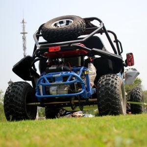 200cc Two Seater Go Kart Single Cylinder / Automatic Go Kart With Reverse