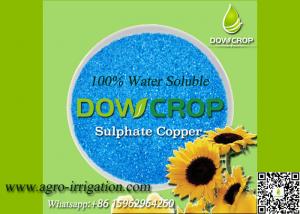 Cheap 100% WATER SOLUBLE SULPHATE COPPER PENTAHYDATE 25% BLUE POWDER MICRO NUTRIENTS FERTILIZER for sale