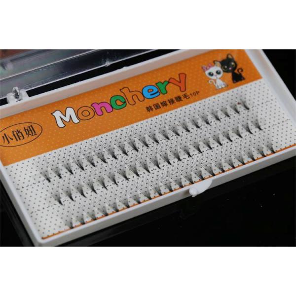 Private Label 3D Eyelash Extensions 0.1mm Volume 3d Lashes For Eyelash Lifting