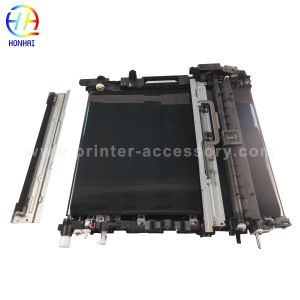Transfer Belt Assembly for Ricoh MPC2004 MPC2504 MPC3004 MPC3504 MPC4504
