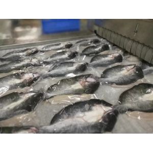 18kw Nitrogen Tunnel Ultra Deep Freezer 2500kg/Hour 2200kg/H