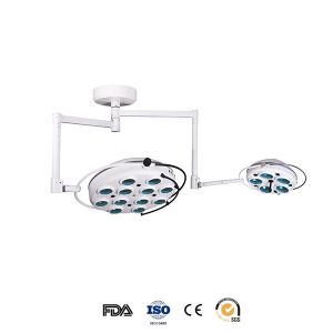 Cheap Cold Light Ceiling Mounted Examination Light Operating Lamp Ceiling Double Dome for sale