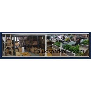 Car Genuine Spare Parts Spark Plug Specially Designed for Various Cars RIO II