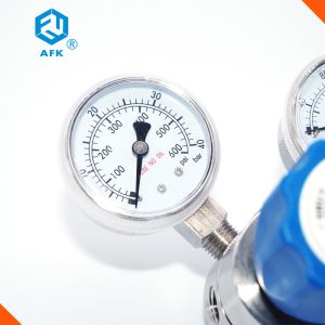 Co2 Nitrogen Semiconductor Diaphragm Seal Pressure Gauge SS316 L Pressure