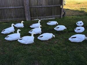 China Snow Goose & Juvy Goose Rag Full Body Windsock Decoys 50 Total on sale