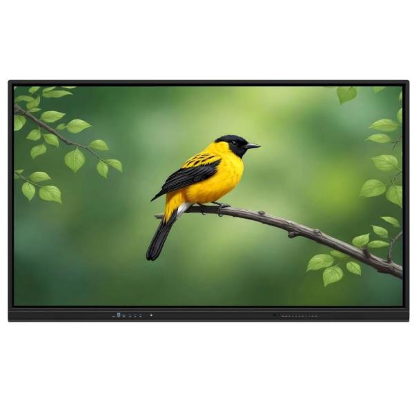 LCD Smart Board 110 Inch Android Win OPS PC Audio VGA USB RJ45 WIFI Interactive