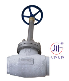 DN15 25 40 PN40 Cryogenic Globe Valve -196~+80 ℃ For LNG LOX LIN LAR LCO2 Tank