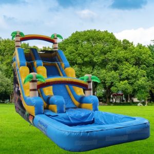 Private Label PVC Inflatable Water Slide and Bounce House for Outdoor Entertainm