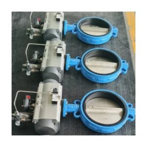 Acid and Alkali Resistant Cast Iron EPDM Wafer Butterfly Valves for Customized