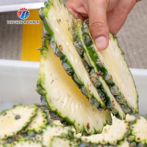 1.5KW 150KG Large slicing and slicing machine Root and stem vegetable cutting