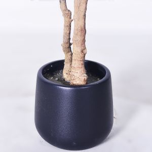 Haihong Manufacturer silk leaves 6 ft artificial ficus tree​ and Natural Trunk,