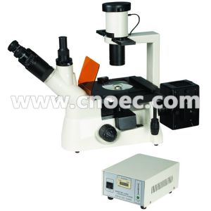 Inverted 40x - 400x Fluorescence Microscope With Mercury Lamp A16.1102