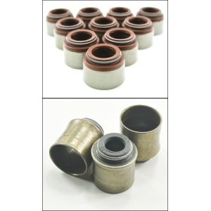 Case Study: Fully Automatic Oil Seal Spring Loading Machine With Oil Ejector For