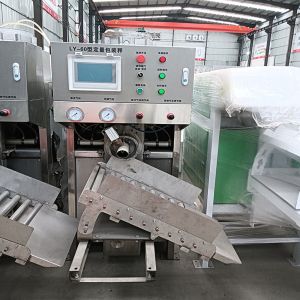 Mortar Packing Machine Malt Flour Valve Bag Filling Machine Powder Packing