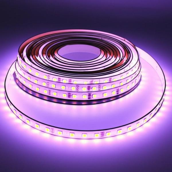 Quality Effortlessly Install High Voltage LED Strip Light Lightweight and Create Different Atmospheres for Any Installation wholesale