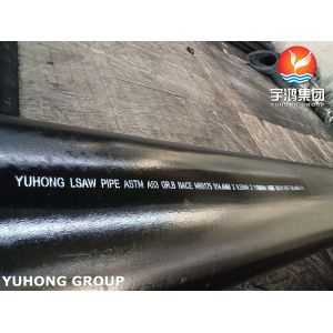ASTM A53 Grade B Seamless Welded Black Hot Dipped Galvanized Steel Pipe For