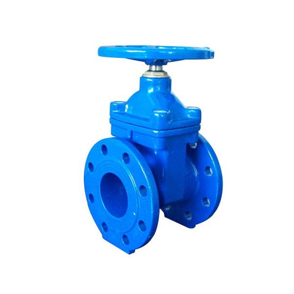 Quality (DIN) Cast Iron Resilient Gate Valve NRS wholesale