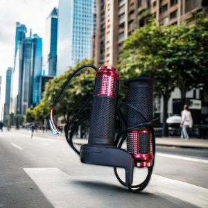 Dolphin Electric Scooter 24V 36V 300W Two-Wheel Battery Speed Control with Turn