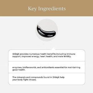 Factory price pure Shilajit Resin Support with Fulvic Acid Trace Minerals