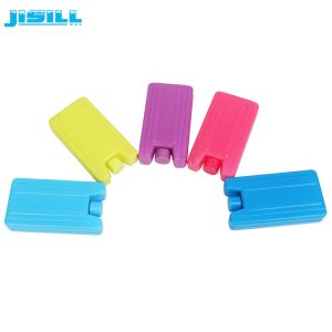 Custom Portable Thermal Blue Cool Bag Ice Packs Lunch Ice Brick For Cool Cooler