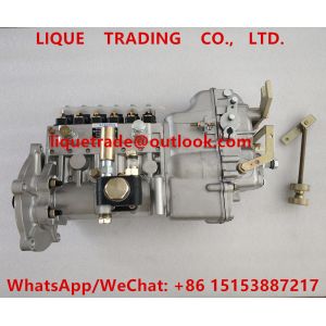 High pressure fuel injection pump assembly BH6PA110R , 6R4ZLD310100