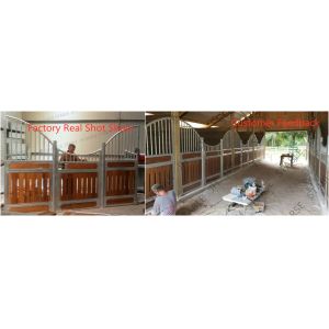 Posh Prefabricated Steel Structure Prefab Pre Built Horse Stall Stable