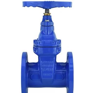 Cylindrical Head Code Custom Casting Steel Manual Valve Ductile Iron Gate Valve